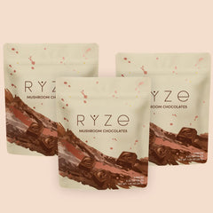 Mushroom Chocolates Rye (15 pieces) C3