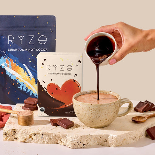 Chocolate Indulgence Bundle X9