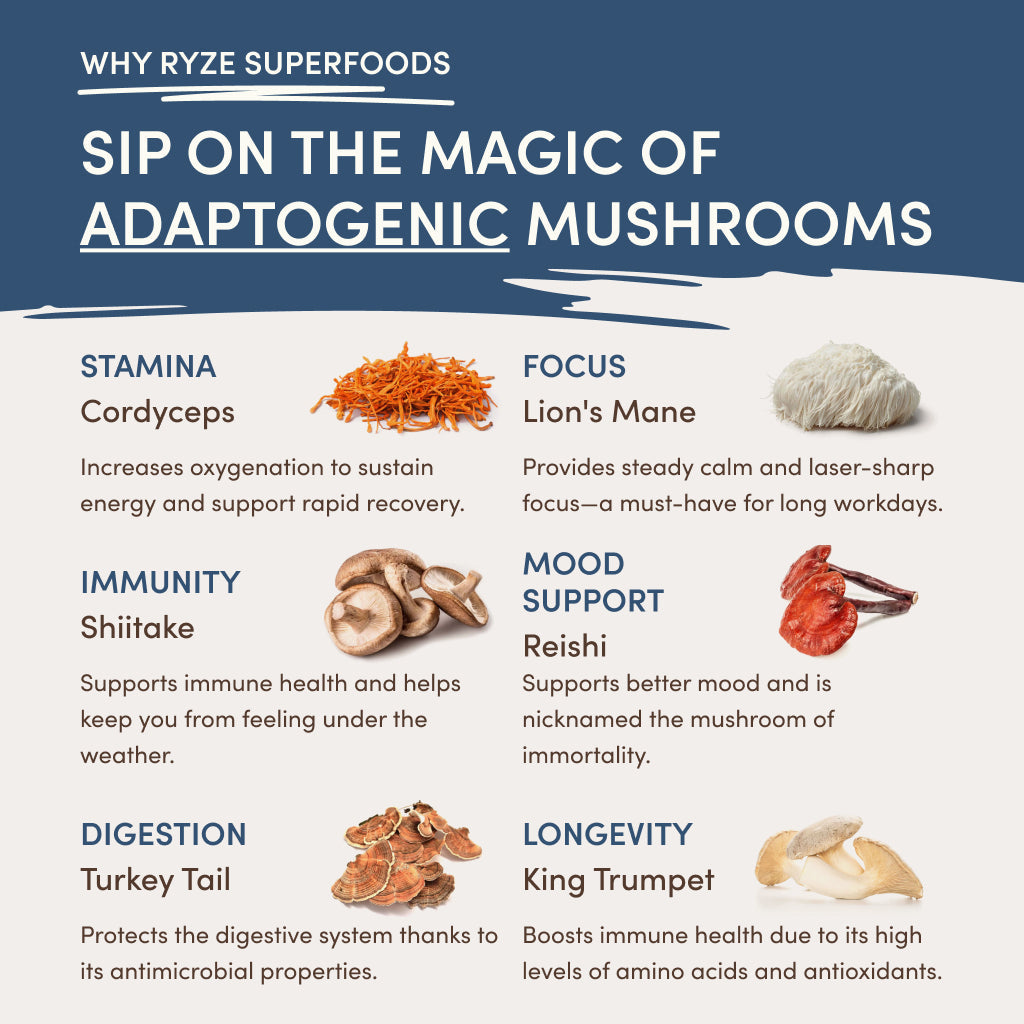 RYZE Nighttime Mushroom Cocoa Starter Bag E2