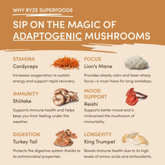 Mushroom Overnight Oats (14 Servings) L6