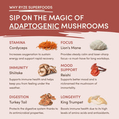 Mushroom Chicory (30 Servings) P9