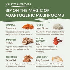 RYZE Mushroom Matcha — Organic Instant Matcha Latte with Lion's Mane & King Trumpet, 30 Servings D3