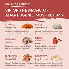 Mushroom Chai (20 Servings) M7
