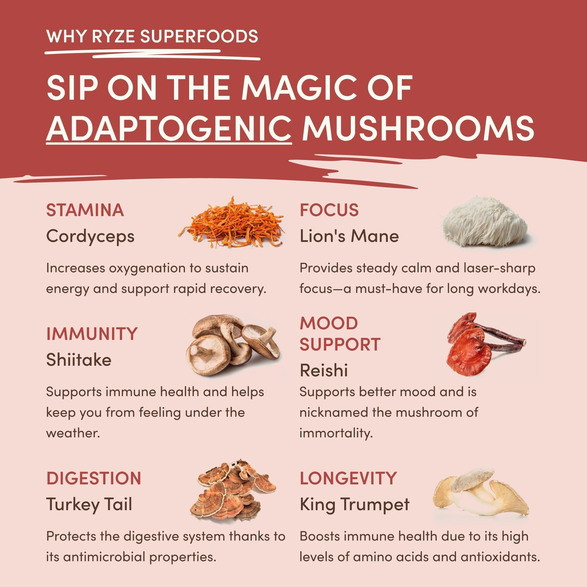 RYZE Mushroom Chai — Organic Instant Chai with Reishi & Organic Black Tea, 20 Servings R0