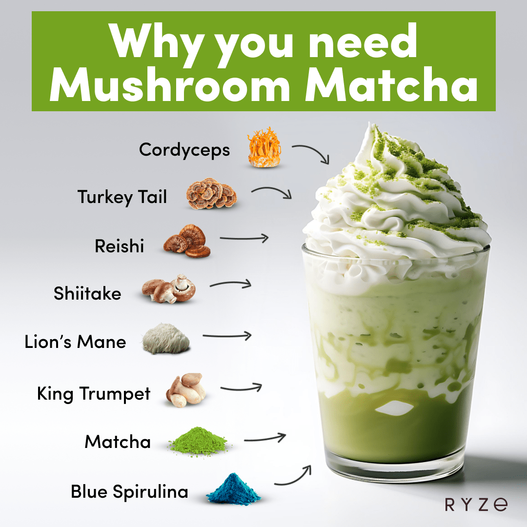 RYZE Organic Mushroom Matcha Starter Kit (60 servings) H7