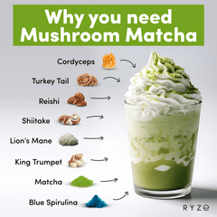 RYZE Organic Mushroom Matcha Starter Kit (60 servings) H7